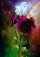 /album/carol-cavalaris2/goddess-of-the-rainbow-jpg1/